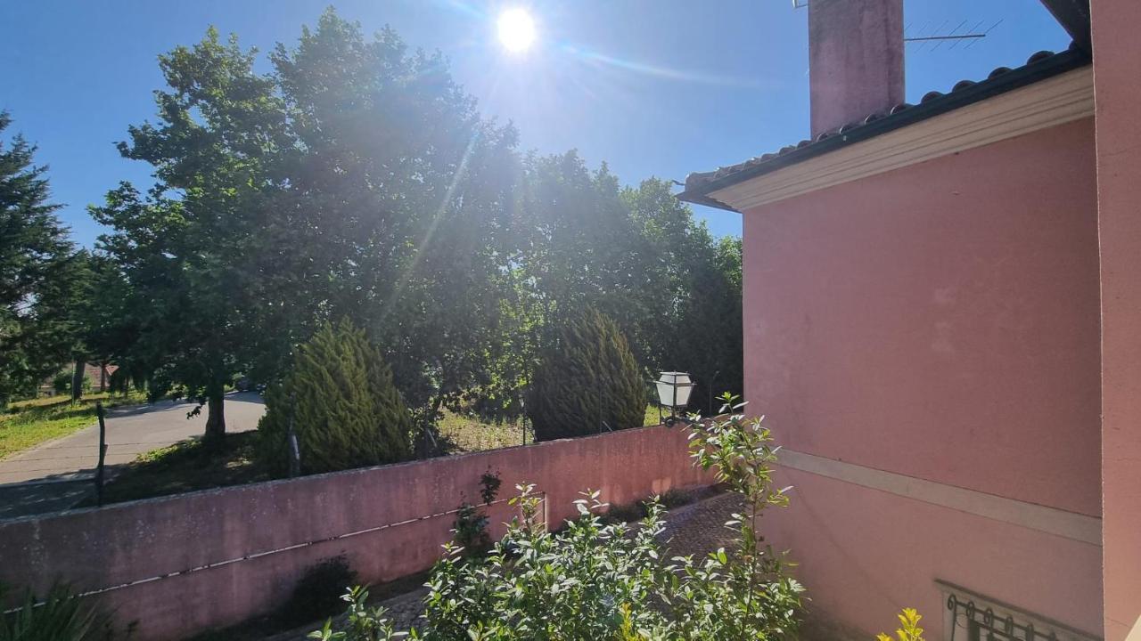Casa Da Palmeira Leiria Kültér fotó