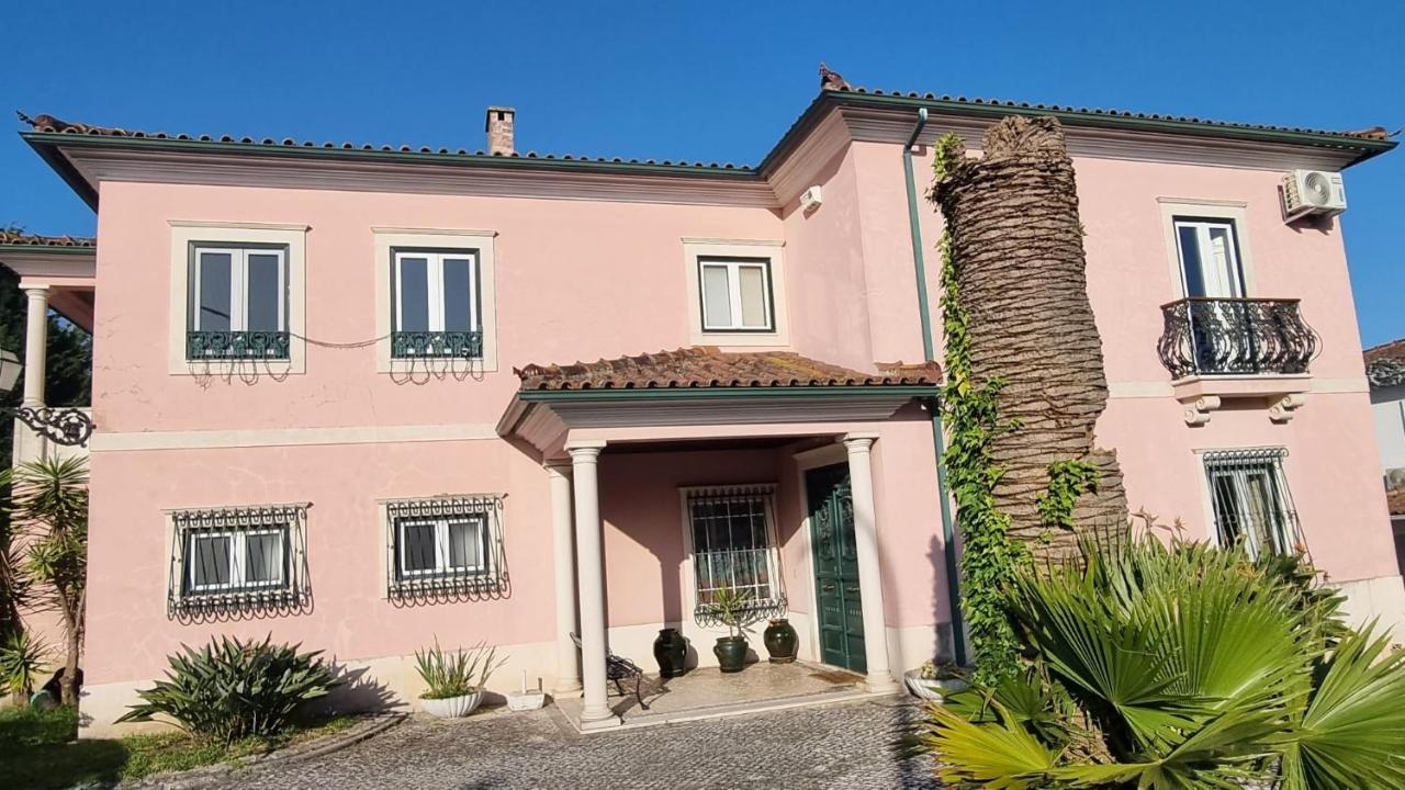 Casa Da Palmeira Leiria Kültér fotó