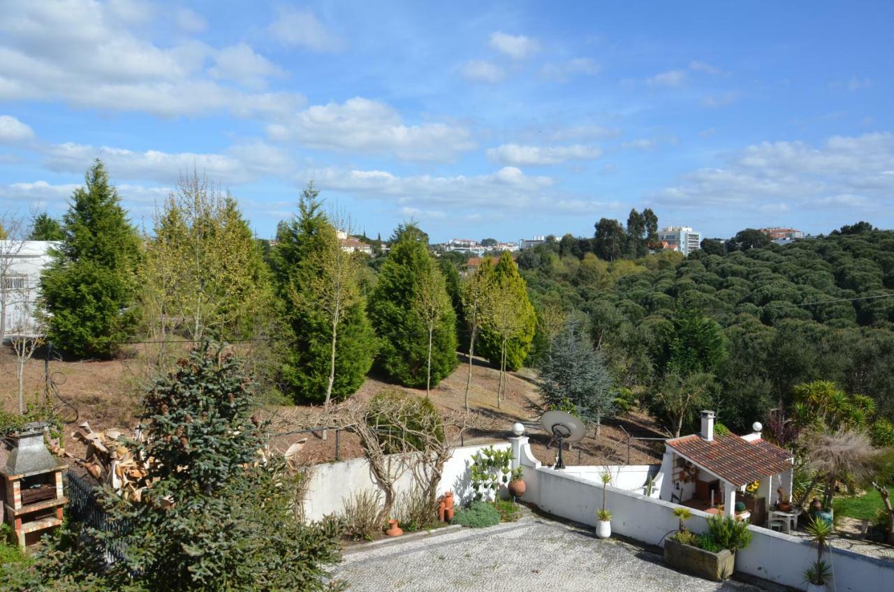 Casa Da Palmeira Leiria Kültér fotó