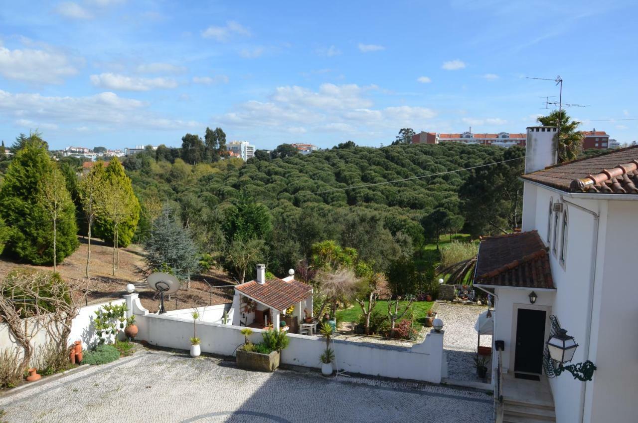 Casa Da Palmeira Leiria Kültér fotó