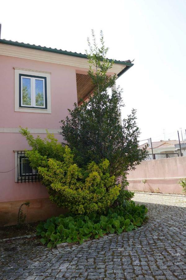 Casa Da Palmeira Leiria Kültér fotó